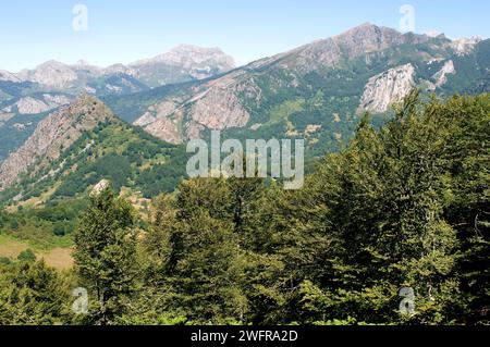 Nationalpark Los Picos de Europa von der Provinz Leon aus gesehen. Castilla y Leon, Spanien. Stockfoto