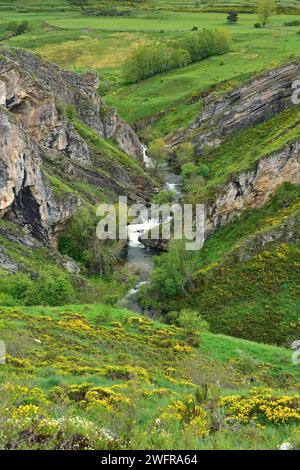 SIL River Canyon. Region Babia, Provinz Leon, Castilla y Leon, Spanien. Stockfoto