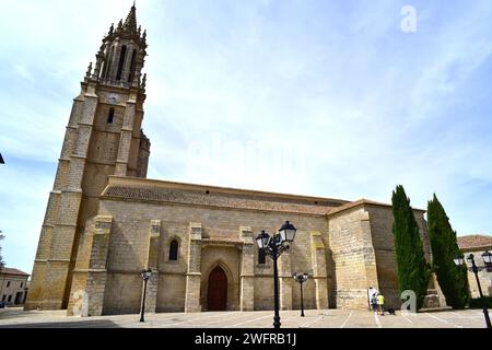 Ampudia, Colegiata de San Miguel. Tierra de Campos, Provinz Palencia, Castilla y Leon, Spanien. Stockfoto