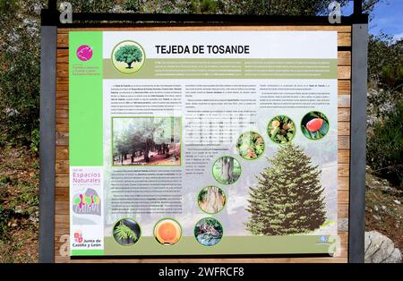 Naturpark Tejeda de Tosande, Poster. Montaña Palentina, Provinz Palencia, Castilla y Leon, Spanien. Stockfoto