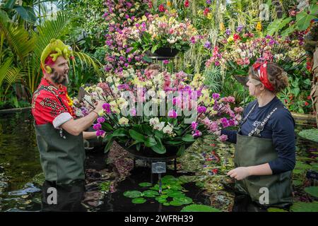 London, Großbritannien. Februar 2024. Orchid Festival in Kew Gardens. Die lebendige Orchideenflora Madagaskars bildet dieses Jahr die Festivalausstellung im Princess of Wales Conservatory in Kew Gardens. Guy Corbishley/Alamy Live News Stockfoto