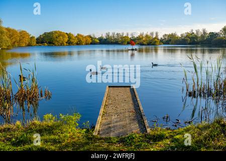 Chigborough Lakes Nature Reserve und Angelteiche in der Nähe des Heybridge Basin Essex Stockfoto