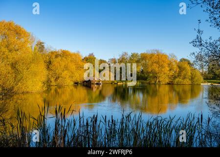 Chigborough Lakes Nature Reserve und Angelteiche in der Nähe des Heybridge Basin Essex Stockfoto