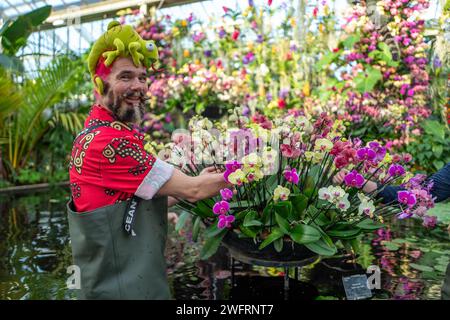 1. Februar 2024: Diese jährliche Feier der lebendigen Flora findet ab dem 3. Februar 2023 statt und ist eine der größten botanischen Sammlungen der Welt. Die diesjährige Iteration ist von der natürlichen Schönheit und Artenvielfalt Madagaskars inspiriert. Das Kew Orchid Festival ist eine jährliche Veranstaltung im Princess of Wales Conservatory in Kew Garden. Die Menschen kommen von überall her, um einige der schönsten Orchideen der Welt zu sehen. (Kreditbild: © Velar Grant/ZUMA Press Wire) NUR REDAKTIONELLE VERWENDUNG! Nicht für kommerzielle ZWECKE! Stockfoto