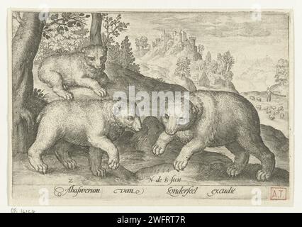Three Bears, Nicolaes de Bruyn, 1621 Druckerei: Netherlandspublisher: Antwerpener Papierstich Raubtiere, Raubtiere: Bär Stockfoto