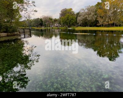 Der Frühling im Rainbow River State Park in Dunnellon, Florida, USA an einem bewölkten Tag. Stockfoto