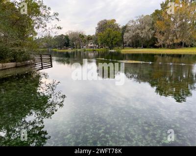 Der Frühling im Rainbow River State Park in Dunnellon, Florida, USA an einem bewölkten Tag. Stockfoto