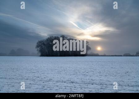 Schneebedeckter Wintersonnenaufgang für Einen kleinen Wald Stockfoto