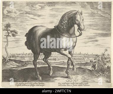 Paard von Gelre, Hans Collaert (I) (zugeschrieben), nach Jan van der Straet, ca. 1578 - ca. 1582 Druck Ein Gelderpferd, nach vorne geneigt. Der Druck hat eine lateinische Unterschrift und ist Teil des zweiten Teils einer 39-teiligen Serie über die Pferderassen aus dem Königlichen Stall von Don Juan von Österreich. Printmacher: Haarlemafter Design von: Florencepublisher: Antwerpener Papier, in dem Pferde und verwandte Tiere geldern graviert werden Stockfoto