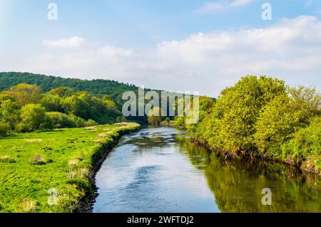 Hopwas Woods und der Fluss zähmen Stockfoto