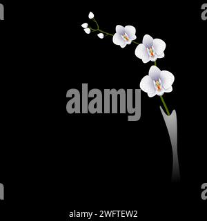 Zweig weißer Orchideen in einer Vase auf schwarzem Hintergrund. Stock Vektor