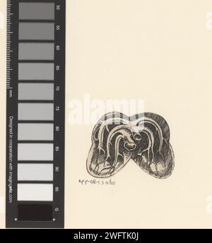 Querschnitt Longen, Lucas Kilian, 1589 - 1637 Print Print ist an den äußeren Kanten der Show abgeschnitten. Papierätzung Lunge, Bronchien Stockfoto