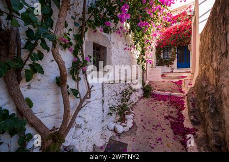 Gasse mit Blumenblättern auf dem Boden im hübschen Dorf Krista, Kreta Stockfoto