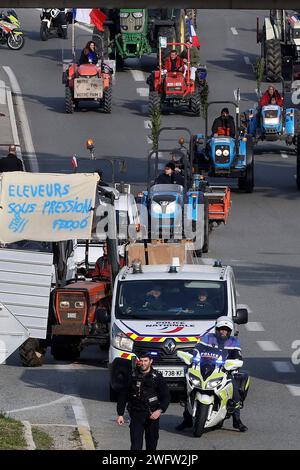 © Francois Glories/MAXPPP - 02/2024 Wut unter den Bauern in Südfrankreich fallen Traktoren in Nizza mit „Chouki“ ein, dem Kuhmaskottchen, das vor dem Hotel Negresco an der Promenade des Anglais zum Star geworden ist. Demonstration der Landwirte auf der Promenade des Anglais in Nizza als Teil der nationalen Bauernbewegung in Frankreich und mehreren europäischen Ländern. Quelle: MAXPPP/Alamy Live News Stockfoto