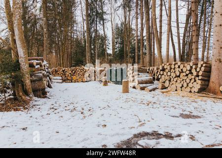 Stapelbares Feuerholz, bereit für den Einsatz im Wald Stockfoto