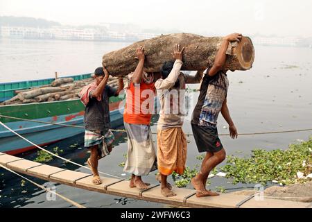 Dhaka, Wari, Bangladesch. Februar 2024. Arbeiter sortieren Holzscheite, die am 1. Februar 2024 von einem Boot am Ufer des Buriganga River in Dhaka entladen wurden. (Kreditbild: © Habibur Rahman/ZUMA Press Wire) NUR REDAKTIONELLE VERWENDUNG! Nicht für kommerzielle ZWECKE! Stockfoto