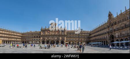 Salamanca, fotografía panorámica de la espectacular plaza Mayor, una de las plazas monumentales más bellas de Europa, España Stockfoto