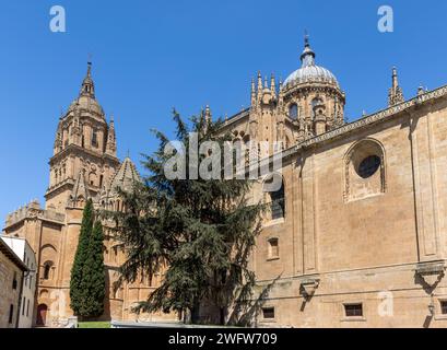 Catedrales de Salamanca, Castilla y León, España Stockfoto