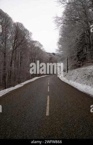 Pyrenäenlandschaft in Frankreich an einem Wintermorgen, mit einer Straße, die durch den Wald führt Stockfoto