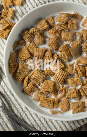 Gesunde Weizen Quadrate Frühstück Müsli mit Vollmilch Stockfoto