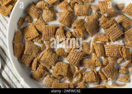 Gesunde Weizen Quadrate Frühstück Müsli mit Vollmilch Stockfoto
