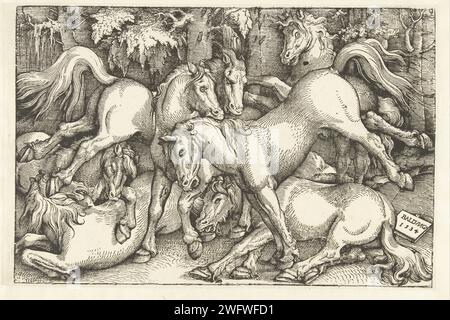 Gruppe von sieben kämpfenden Pferden, Hans Baldung Grien, 1534 Print Gruppe von sieben kämpfenden Pferden oder Hengsten Straßburg (Frankreich) Papier kämpfende Pferde Stockfoto