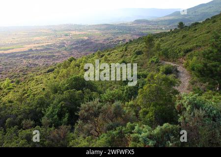 Blick auf die Garrigue und den Canyon du Diable von Roque Combarde an einem Juni-Abend (St. Saturnin de Lucian, Hérault, Frankreich) Stockfoto