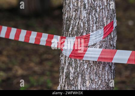 Warnband auf Baum in Park Stockfoto