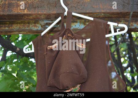 Gewöhnliches Leben, Stil, Mode, schönes braunes Frauenkleid mit brauner, roter Organza-Jacke, die an einem weißen Kleiderbügel im Hof des Hauses hängt. Stockfoto