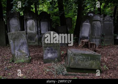 Warschau, Polen - 7. August 2023. Gräber und Grabsteine auf dem alten jüdischen Friedhof (Gesia) in der Okopowa-Straße in Warschau, Polen. Stockfoto