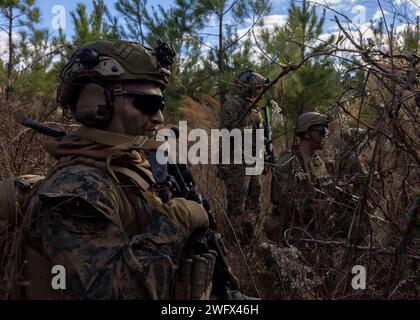 U.S. Marines mit 2nd Light Armored Reconnaissance, Battalion Landing Team 1/8, 24th Marine Expeditionary Unit, führen am 10. Januar 2024 eine simulierte taktische Bergung von Flugzeugpersonal (TRAP) in Fort Barfoot, Virginia durch. Durch die Ausbildung VON FALLENFALLEN wird die Fähigkeit der MEU verbessert, isoliertes Personal und Flugzeuge in feindlichen, unsicheren und freizügigen Umgebungen zurückzugewinnen. Die Expeditionary Operations Training Group (EOTG) stärkt die Fähigkeit der MEU, Operationen mit besonderen Fähigkeiten durchzuführen, indem sie das Befehlselement (CE), das Aviation Combat Element (ACE) und das Ground Combat Element (GCE) ausbildet. Realistisches urbanes traini Stockfoto