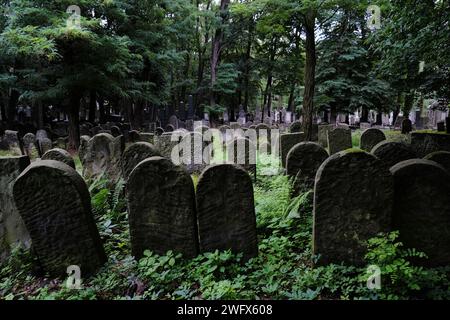 Warschau, Polen - 7. August 2023. Gräber und Grabsteine auf dem alten jüdischen Friedhof (Gesia) in der Okopowa-Straße in Warschau, Polen. Stockfoto