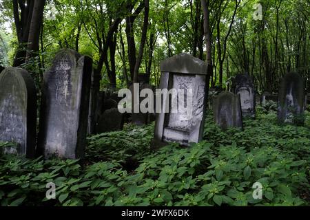 Warschau, Polen - 7. August 2023. Gräber und Grabsteine auf dem alten jüdischen Friedhof (Gesia) in der Okopowa-Straße in Warschau, Polen. Stockfoto