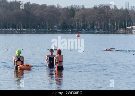 Wilde Schwimmer schwimmen Kaltwasser am Frensham Great Pond an einem Wintermorgen in Surrey, England, Großbritannien. Februar 2024. Wellness-Konzept, Gesundheit, Natur Stockfoto