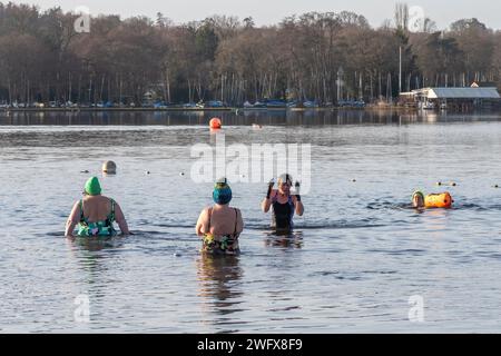 Wilde Schwimmer schwimmen Kaltwasser am Frensham Great Pond an einem Wintermorgen in Surrey, England, Großbritannien. Februar 2024. Wellness-Konzept, Gesundheit, Natur Stockfoto