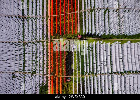 Aus der Vogelperspektive von Menschen, die in einer öffentlichen Wäscherei arbeiten, die zum Trocknen von bunten Stoffen in Narayanganj, Dhaka, Bangladesch hängend sind. Stockfoto