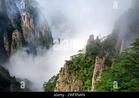 Das Wolkenmeer schwimmt in der Nordsee der Huangshan Yellow Mountains. Stockfoto