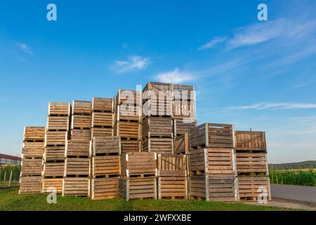 Ein großer Stapel Holzkisten für die Ernte von Äpfeln in einem Apfelgarten auf einem belarussischen Bauernhof. Stockfoto