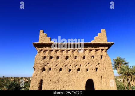 Kasbah Amridil ist eine historische Festung in der Oase Skoura in Marokko Stockfoto