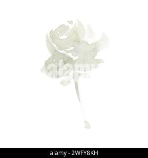 Abstrakte Rose in Aquarellfarbe auf Stiel beige Stockfoto