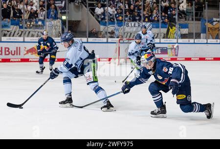 Joshua Samanski (Straubing Tigers, #8) und Nikolaus Heigl (EHC Red Bull Muenchen, #15). EHC Red Bull Muenchen gegen Straubing Tigers Eishockey, DEL, 43. Spieltag, Saison 2023/2024, 01.02.2024. Foto: Eibner-Pressefoto/Heike Feiner Stockfoto