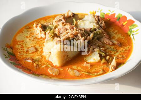 Lontong Sayur oder Gemüsereis Kuchen ist ein typisches indonesisches Essen auf einer weißen Platte mit isoliertem weißem Hintergrund Stockfoto