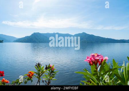 Berg- und Wasserquelle vom Damm und hübsche Frühlingsblumen im Vordergrund. Khun Dan Prakan Chon Dam, Thailand. Stockfoto