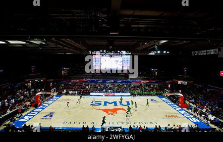 Dallas, TX, USA. Februar 2024. Fans besuchen ein College-Basketballspiel zwischen den Tulane Green Wave und SMU Mustangs im Moody Coliseum in Dallas, Texas. Austin McAfee/CSM (Bild: © Austin McAfee/Cal Sport Media). Quelle: csm/Alamy Live News Stockfoto