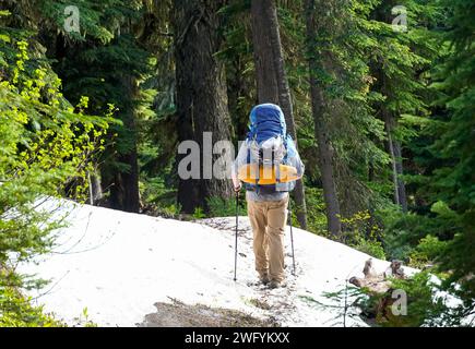 Ein Mann wandert durch einen Wald und navigiert durch einen Schnee Stockfoto