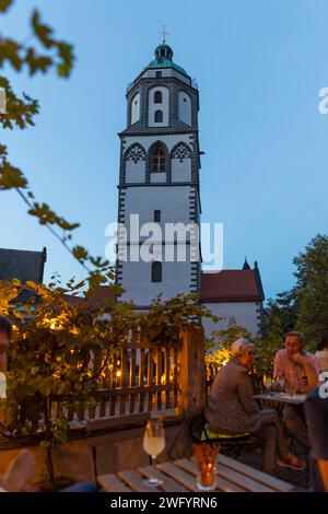 Weinlokal an der Frauenkirche am Abend, Meißen, Sachsen, Deutschland *** Weinbar in der Frauenkirche am Abend, Meißen, Sachsen, Deutschland Stockfoto