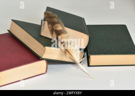 Früher wurden Bücher mit einem Federstift geschrieben. Auf den Bildern befinden sich Bücher und eine Vogelfeder. Stockfoto