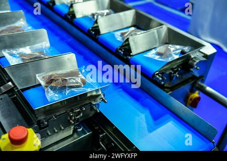 Automatische Produktionslinie für getrocknete Fischfleischprodukte an Förderbandanlagen im Werk Stockfoto