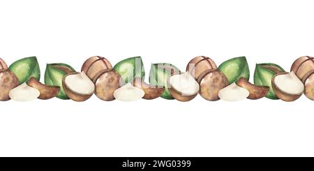 Nahtloses Aquarellmuster von Macadamia-Nüssen mit grünen Blättern. Der Rahmen besteht aus Reifen Muttern. Nahtloses Muster. Vorlage für Postkarten, Etiketten, pac Stockfoto