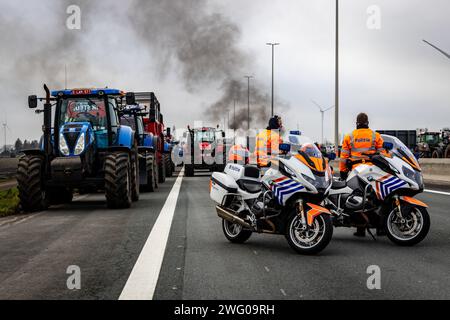 HAZELDONK - niederländische und belgische Landwirte blockieren den Grenzübergang zwischen den Niederlanden und Belgien. Die Landwirte demonstrieren gegen die Agrarvorschriften, die sie für zu strenge und unlautere Konkurrenz innerhalb der europäischen Grenzen halten. ANP JEFFREY GROENEWEG niederlande Out - belgien Out Stockfoto